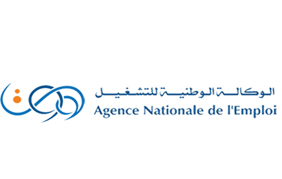 Wassitonline Logo